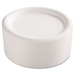 In-House Brand Premium 9" Coated & Grease Resistant Paper Plates 500ct