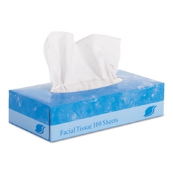 In-House Brand Facial Tissue Flat Box 2-Ply - 30 x 100ct