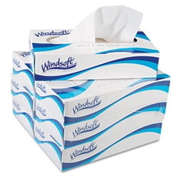 WINDSOFT 2-Ply Premium Facial Tissue 6 x 100ct